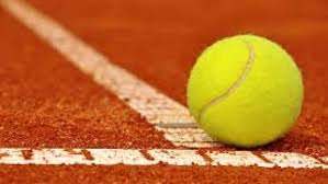 Scopri di più sull'articolo Scuola Tennis – stagione 2019/2020